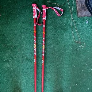 Ski poles in great condition